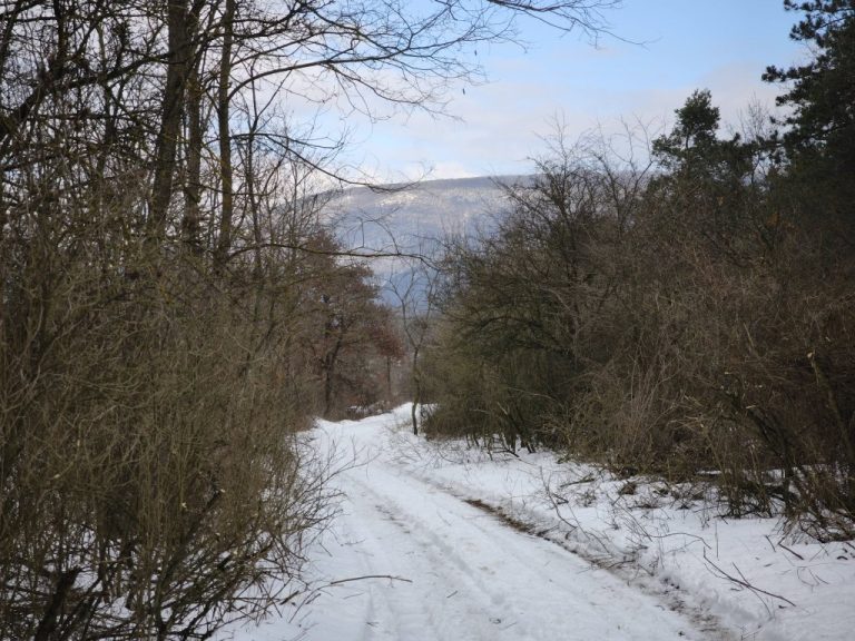 Előttünk a Pilis-tető