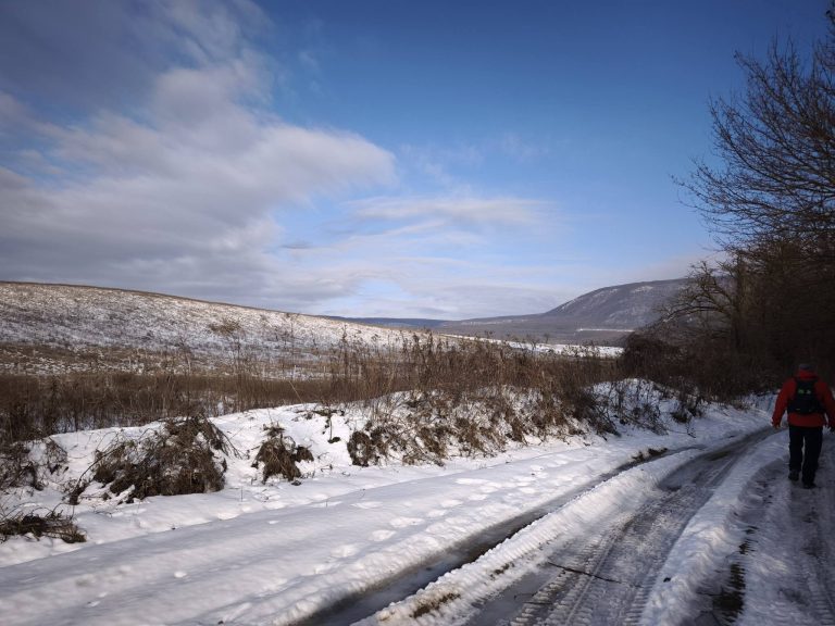 Kisütött a Nap, megváltoztak a színek is