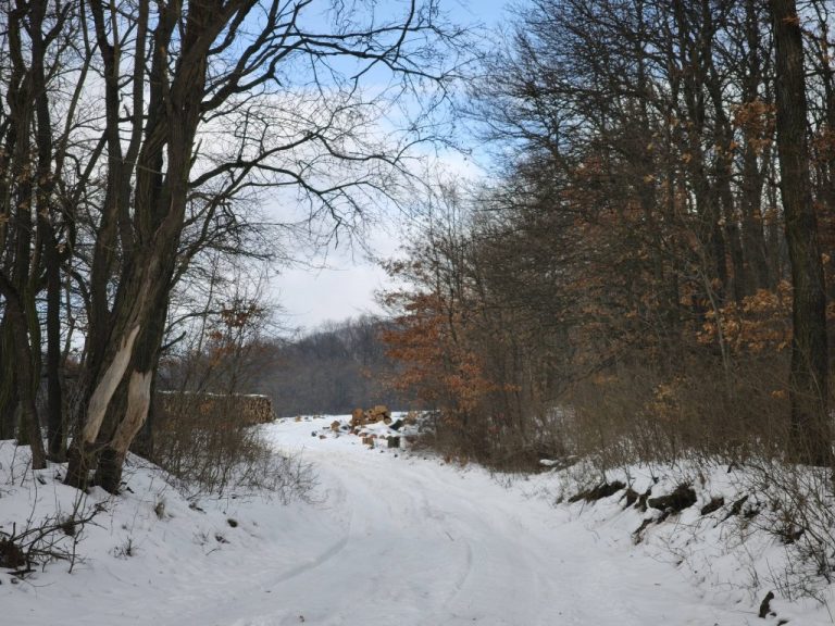 Néha csak úgy készült egy fotó, hogy megörökítsük a pillanatot