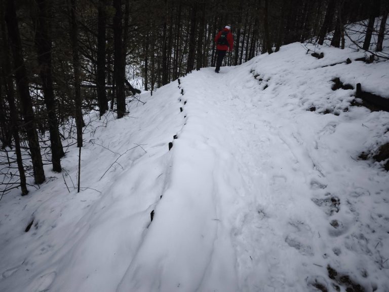 Kanyargós tanösvény