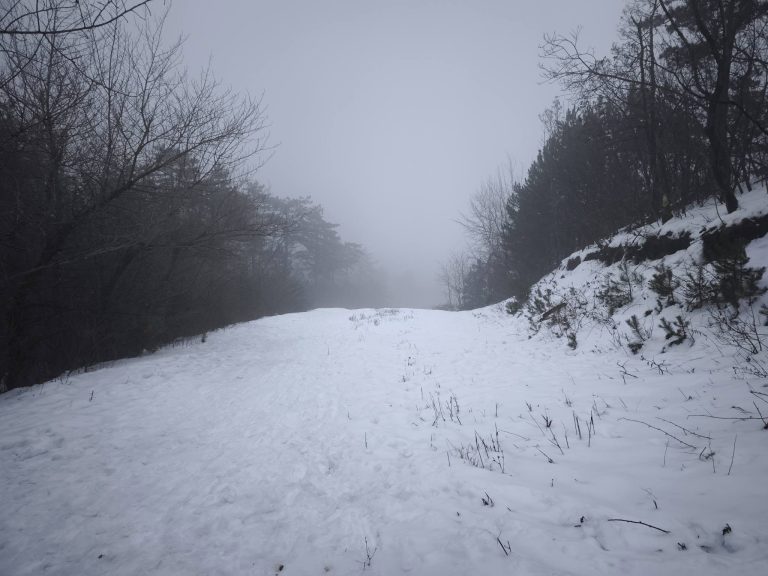 Nyiladék közepén - az erdőben is leszállt a köd,