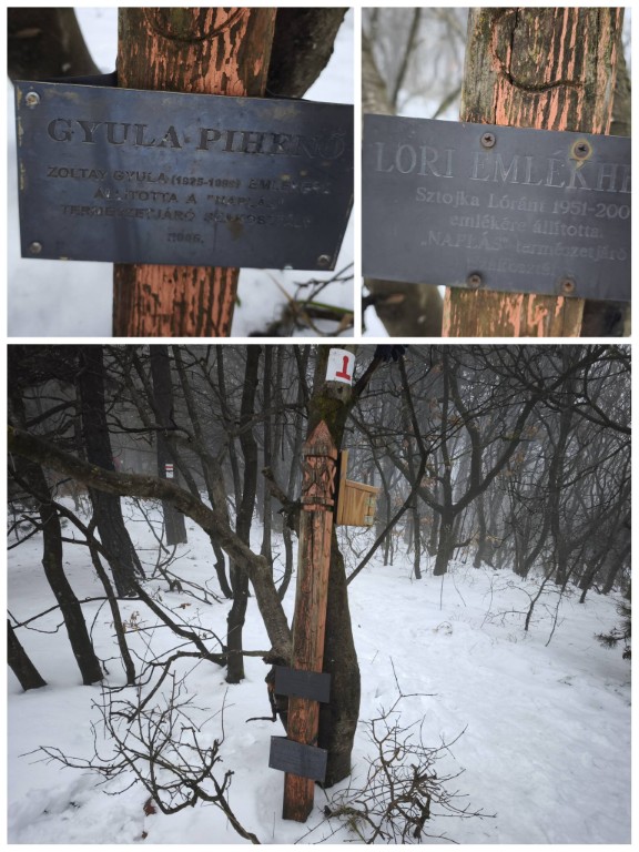 Vörös-hegy, Gyula pihenő