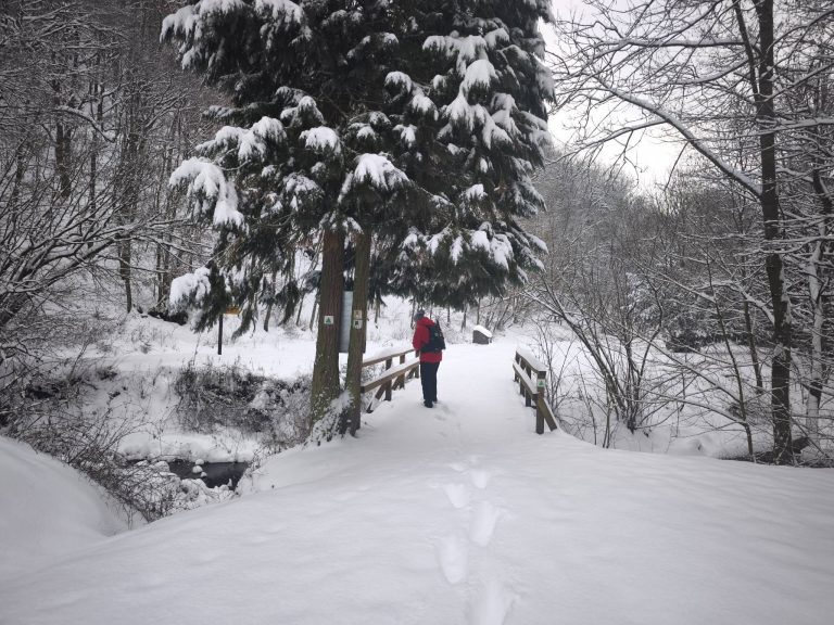 A sok fehérben feltűnő a piros kabát