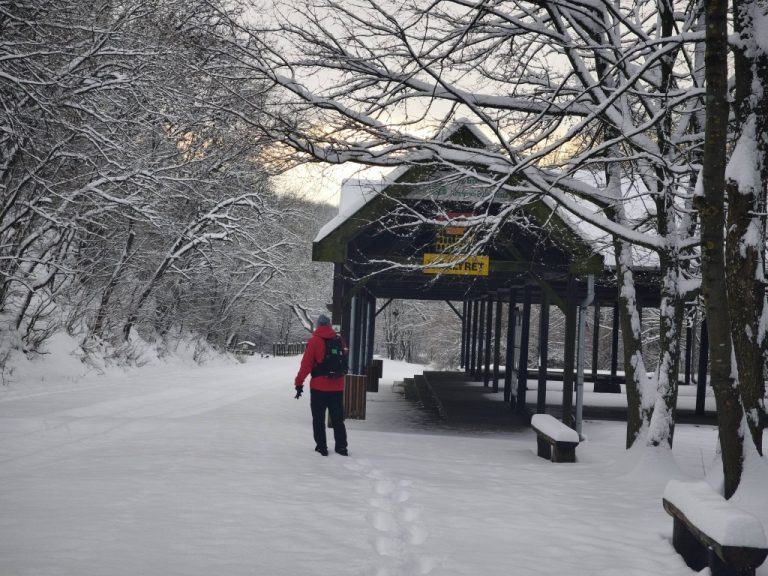 A királyréti állomás ma nem fogad utasokat