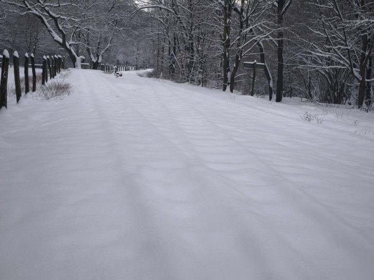 A síneknek csak a sziluettje látszik