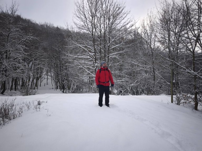 A távolban sétált , majd elfutott egy őz, hosszan néztük, hátha visszajön