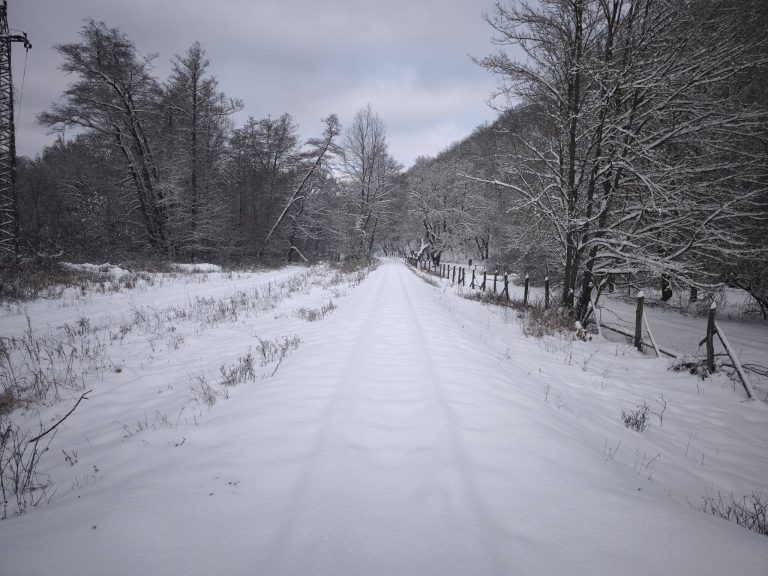 Kisvasút sínei hó alatt