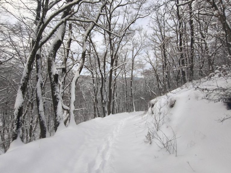 Csak a mi nyomaink látszanak