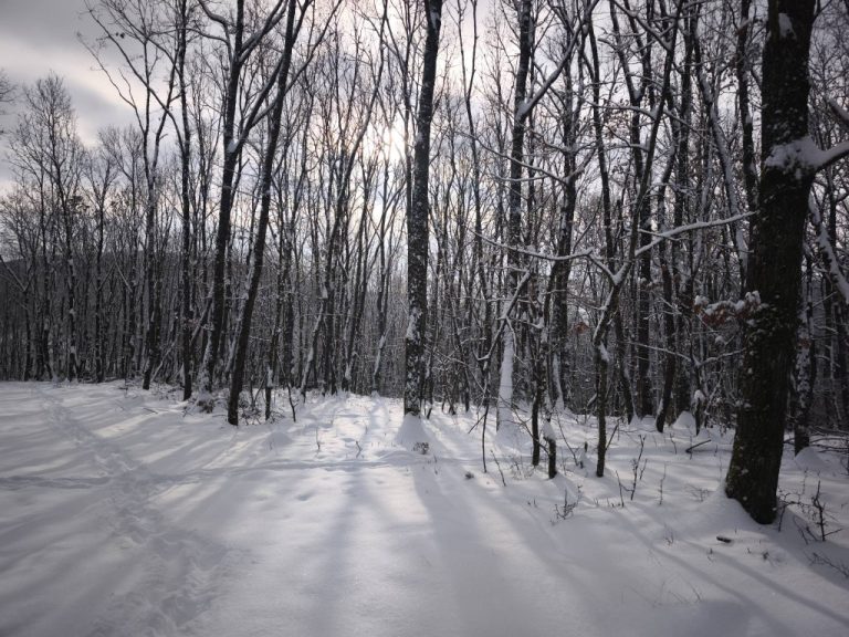A napsugarak fényjátéka