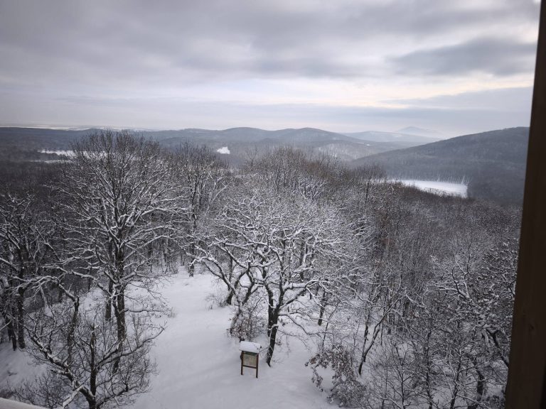 A kilátó tetejéről csodás a látvány