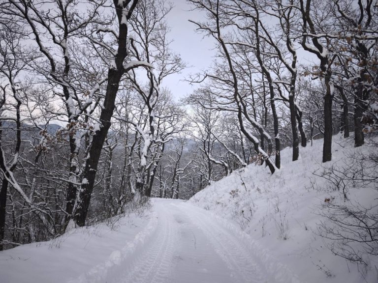 Néhol eltolták a havat - könnyebben haladunk ezen a szakaszon