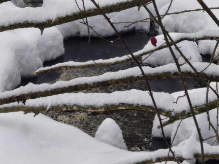 Ahol szélesebb a patak, ott még csörgedezik...