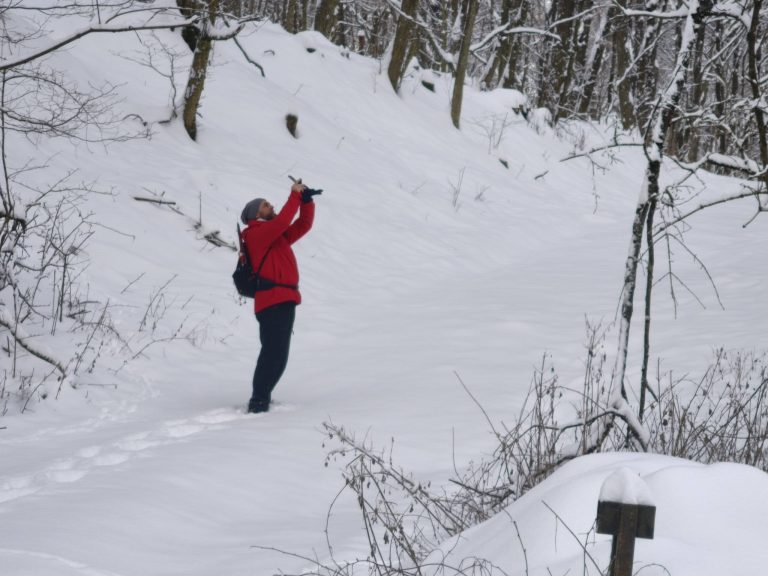 Egy harkály incselkedett velünk - ide-oda szállt percekig