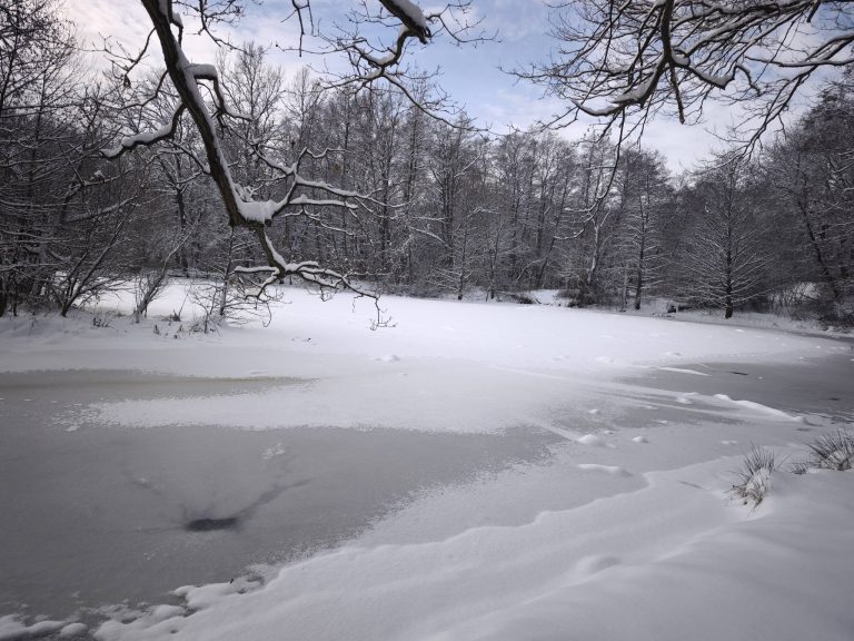 Megkerüljük a tavat - itt már jobban elkülönül a part és a tó "vize"