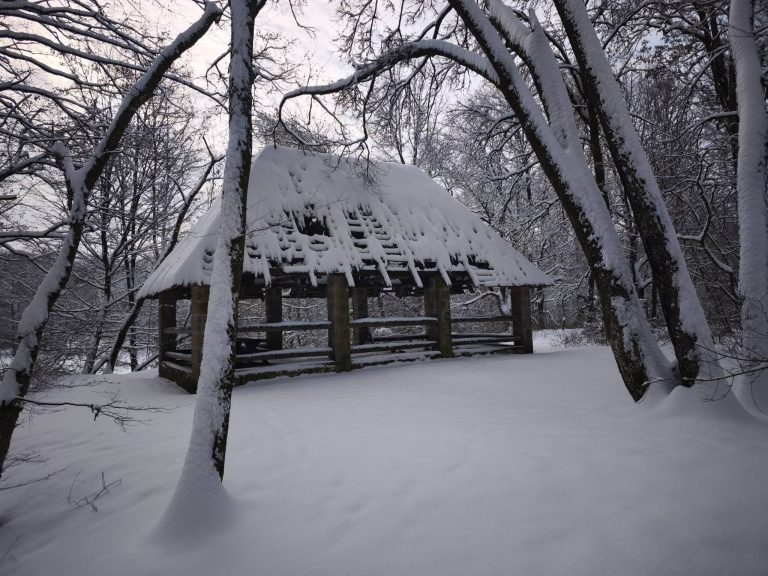 Kissé leromlott állapotban van a menedékhely