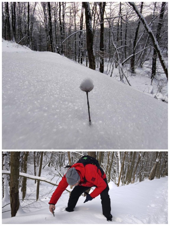 Hóval borított virág és a bizonyíték arra, hogy készült a fotó