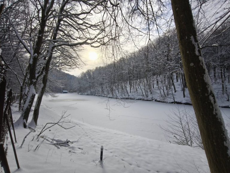 Királyréti Horgásztó