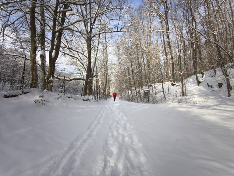 Időközben a Nap is kisütött
