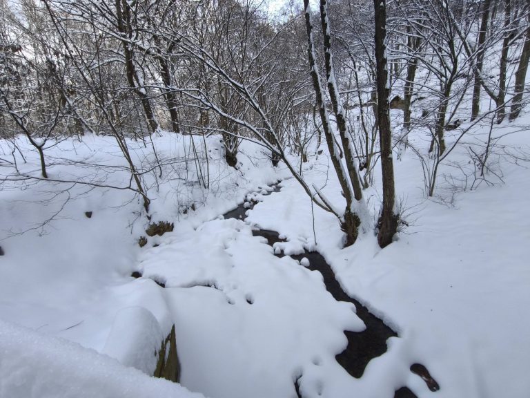 Ismét átkelünk a Szén-patakon
