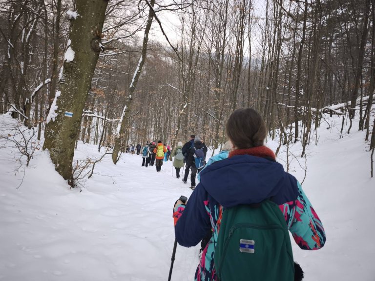 Az első lejtő a Ló-hegyi-patak felé