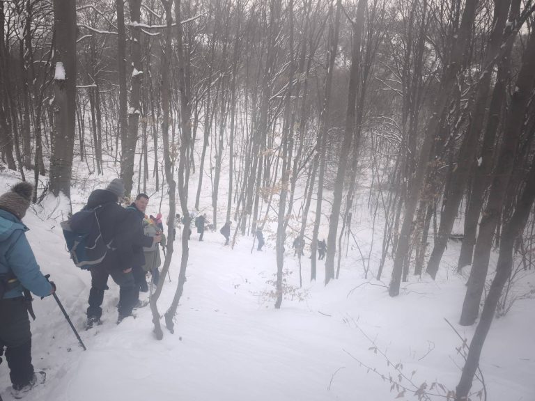 Hosszan kamyarog a Távolbanézős sor
