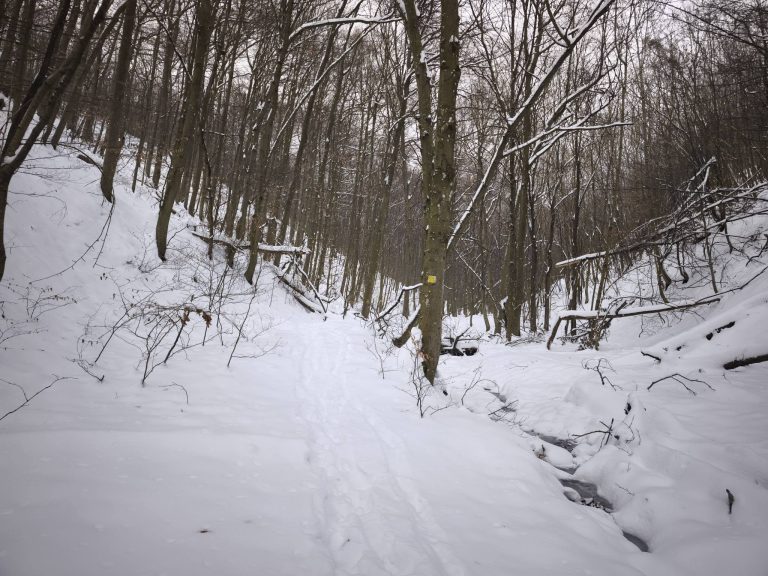 Előttünk ma még nem igazán járt senki erre