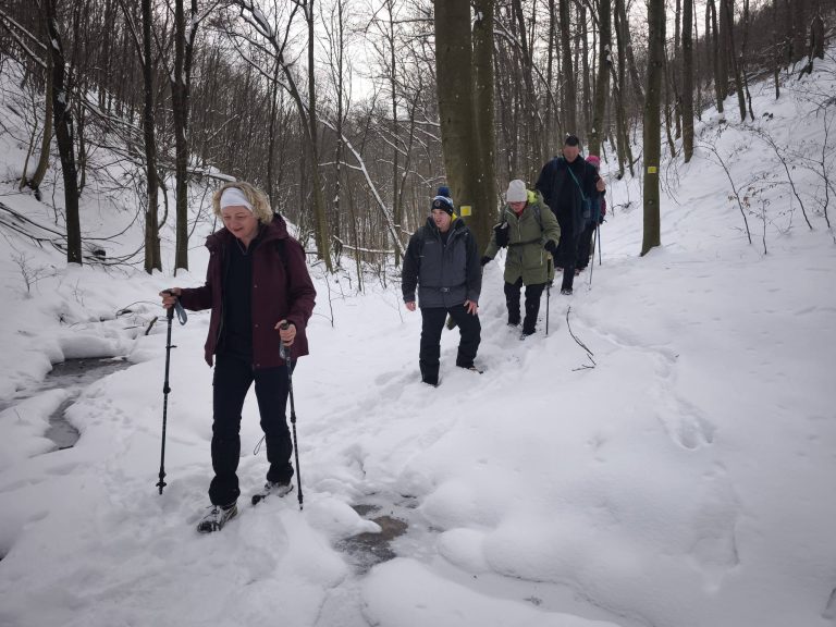 Sokadik átkelés a patakon