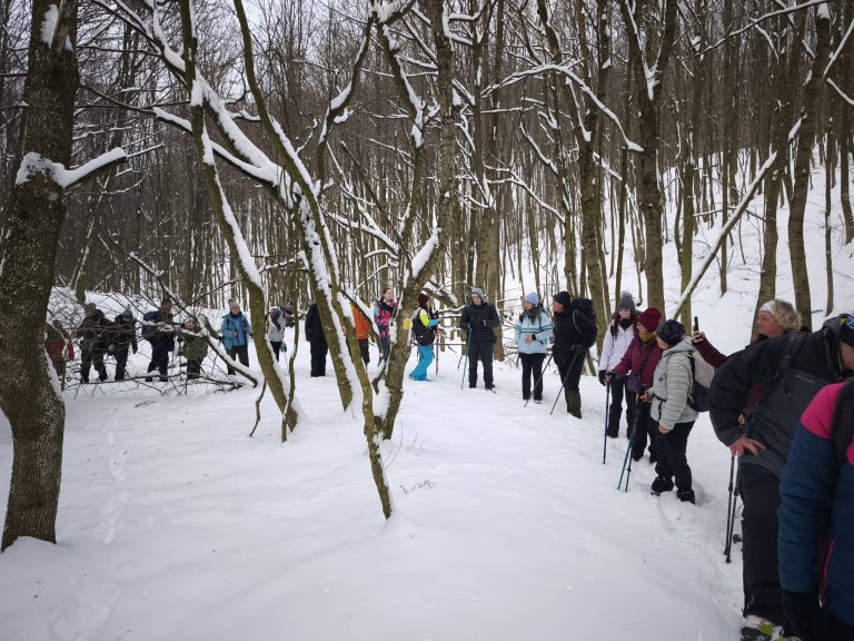 Nem körtánc, csak az út kanyarog várakozás közben, amíg a vége megerkezik