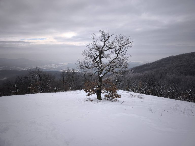 Sas-hegyi kilátópont