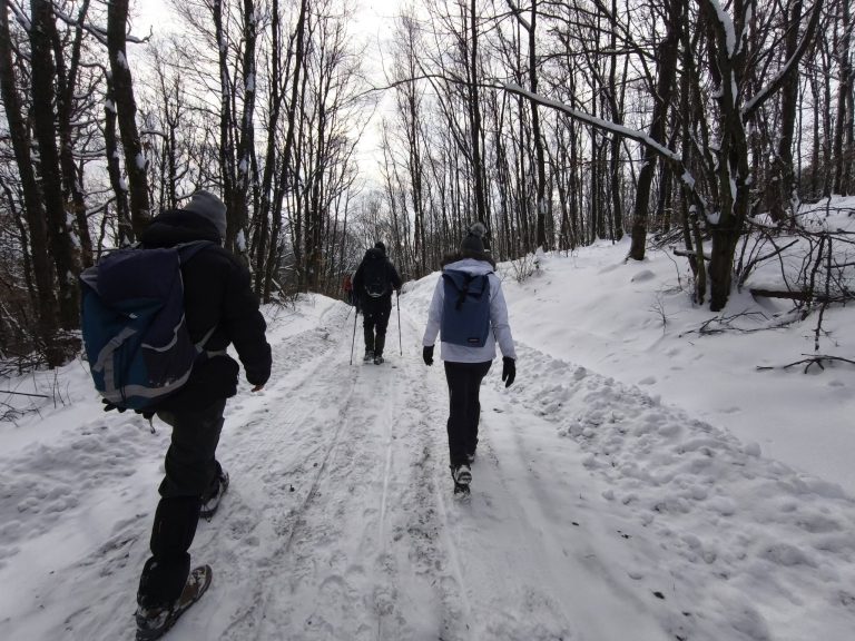 Szekérúton a Lengyel-rétek felé