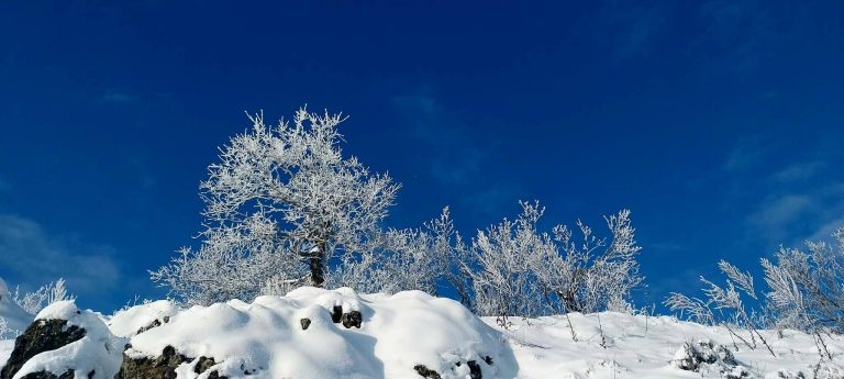 Tél gyönyörű színekkel