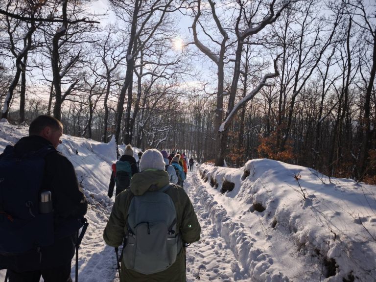 Márianosztra felé a zöldön