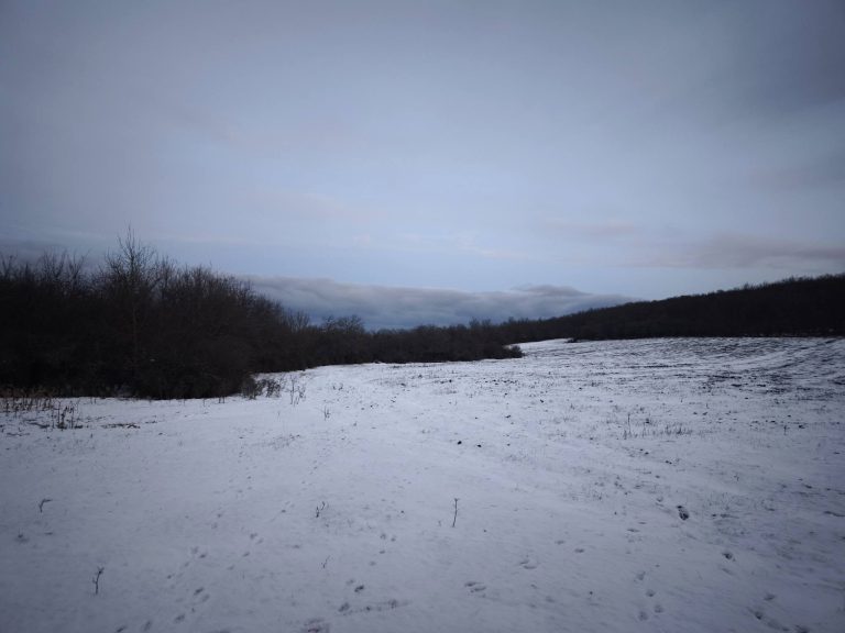 Mező Aranyoskút után