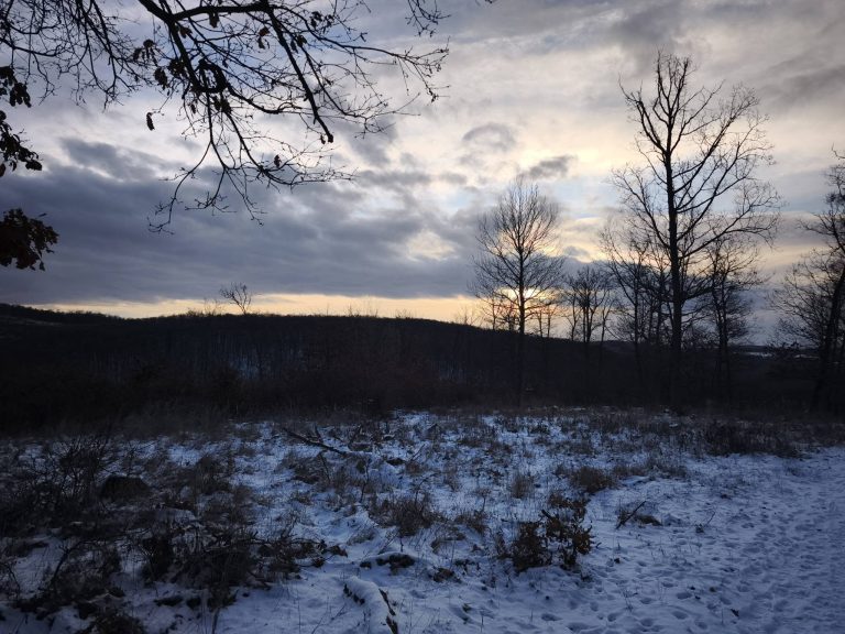 Egy fotóra mindig van idő