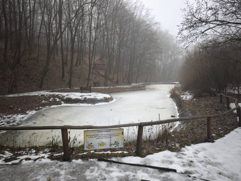 A Tipegő tanösvény a tó körül halad