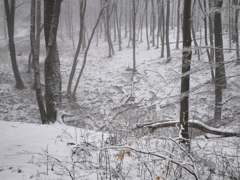 A Naszályi-víznyelő barlang téli pompában