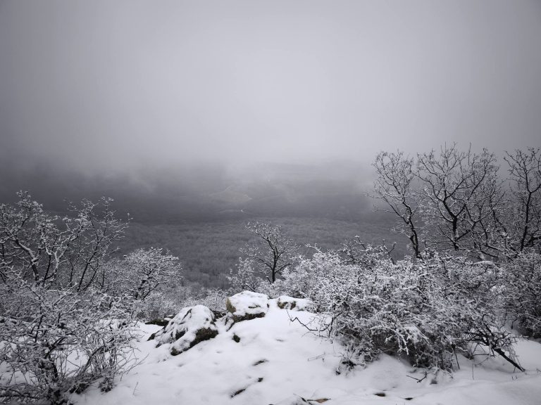 Kilátás a Kopasz-tetőről