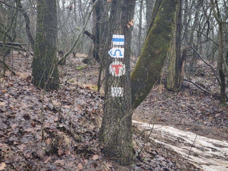 Választhatunk a jelzések közül