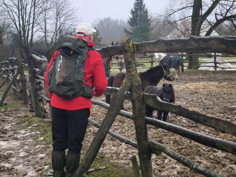 A kerítés mögött különböző méretű lovacskák