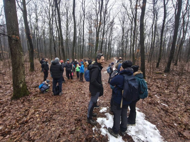 Újabb pihenő az erdő mélyén