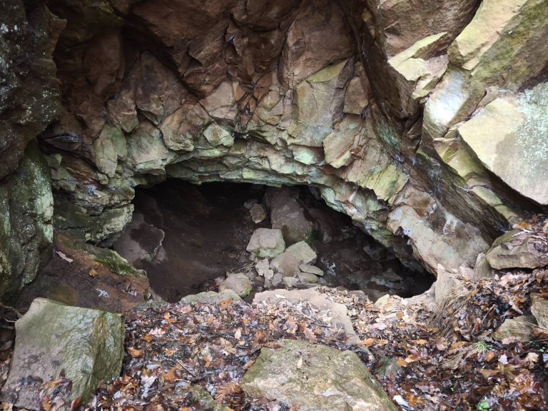 A Dínó-rejtek közelebbről