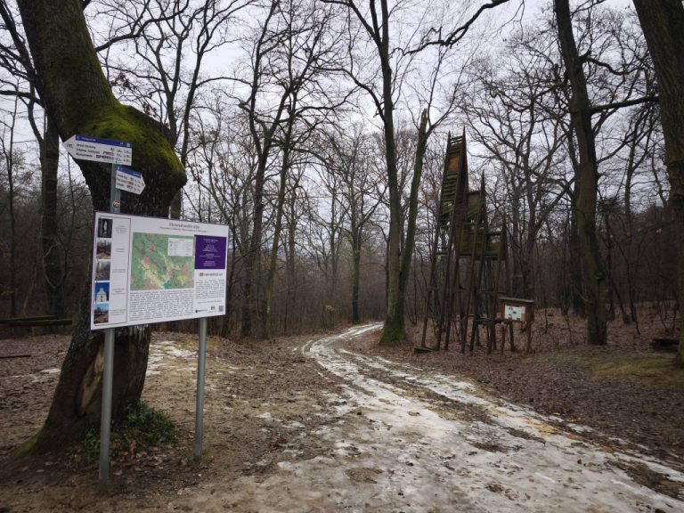 A Haranglábra már hosszú ideje ráférne egy felújítás