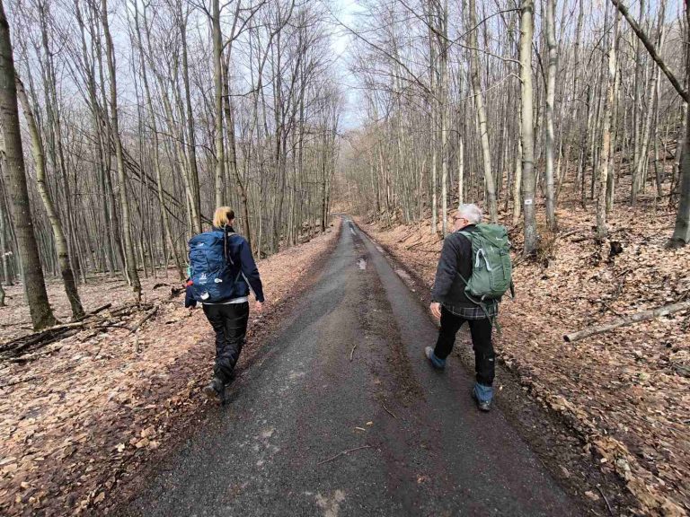 Beszélgetve, emélkedve