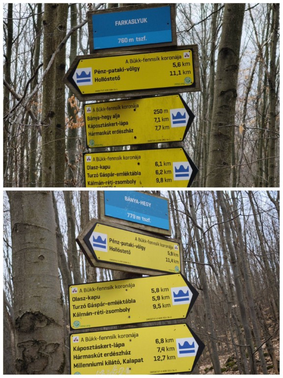 Útjelző táblák - ami leolvasható: 300 méter alatt 19 m szintemelkedés