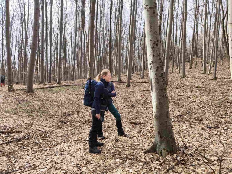 Vajon mi lehet a táblán, ami ennyire érdekes?