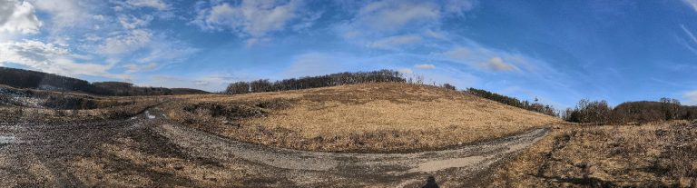 Panoráma - ennyi maradt az erdőből