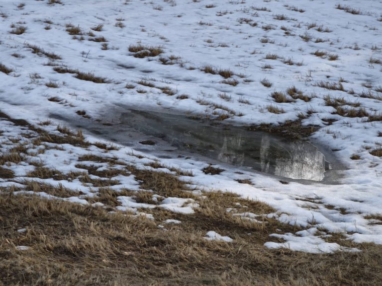 Kecskeláb-réten a megolvadt hó kis pocsolyát képez