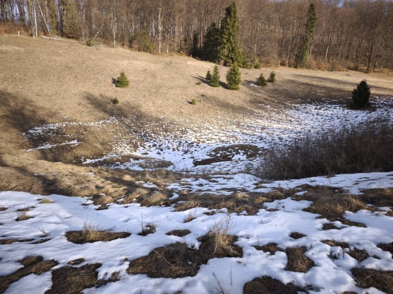 Kecskeláb-rét két oldalának más a mikroklímája