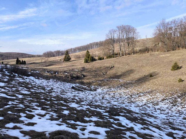 A rét egy másik szögből