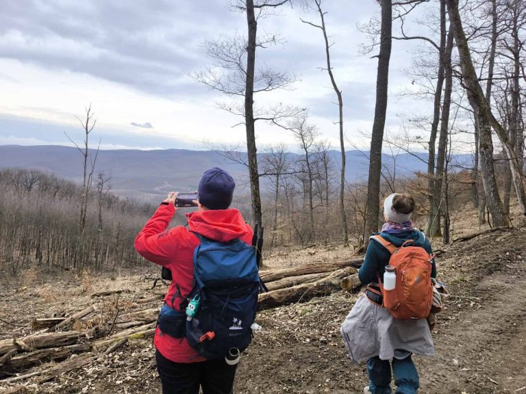 Meg kell örökíteni mindent
